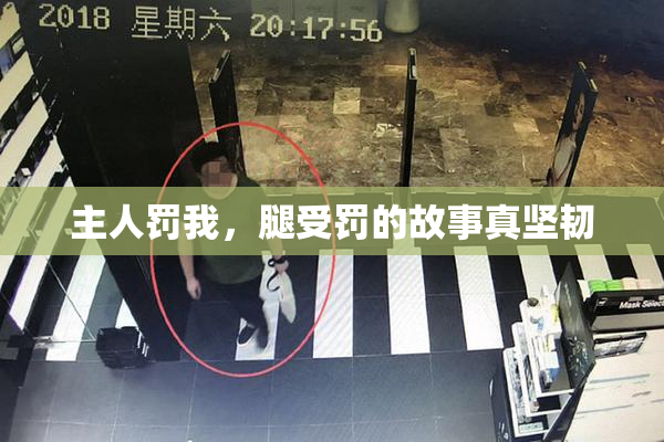 主人罚我，腿受罚的故事真坚韧