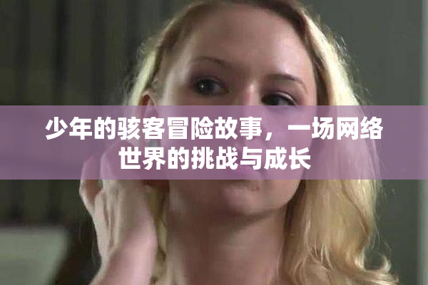 少年的骇客冒险故事，一场网络世界的挑战与成长