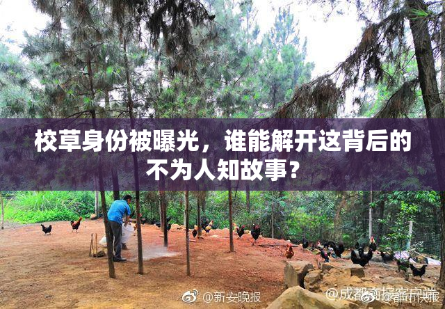 校草身份被曝光，谁能解开这背后的不为人知故事？