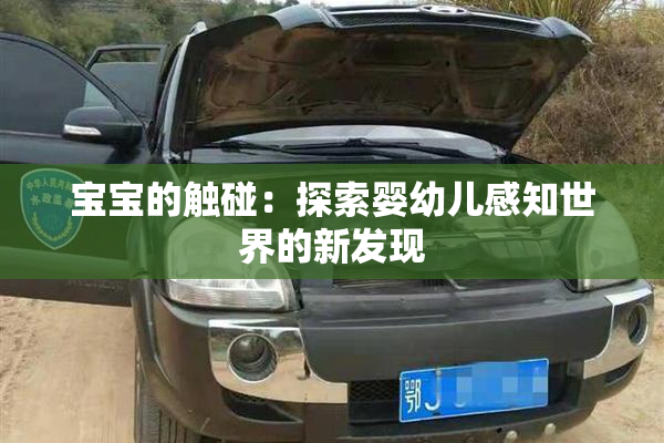 宝宝的触碰：探索婴幼儿感知世界的新发现