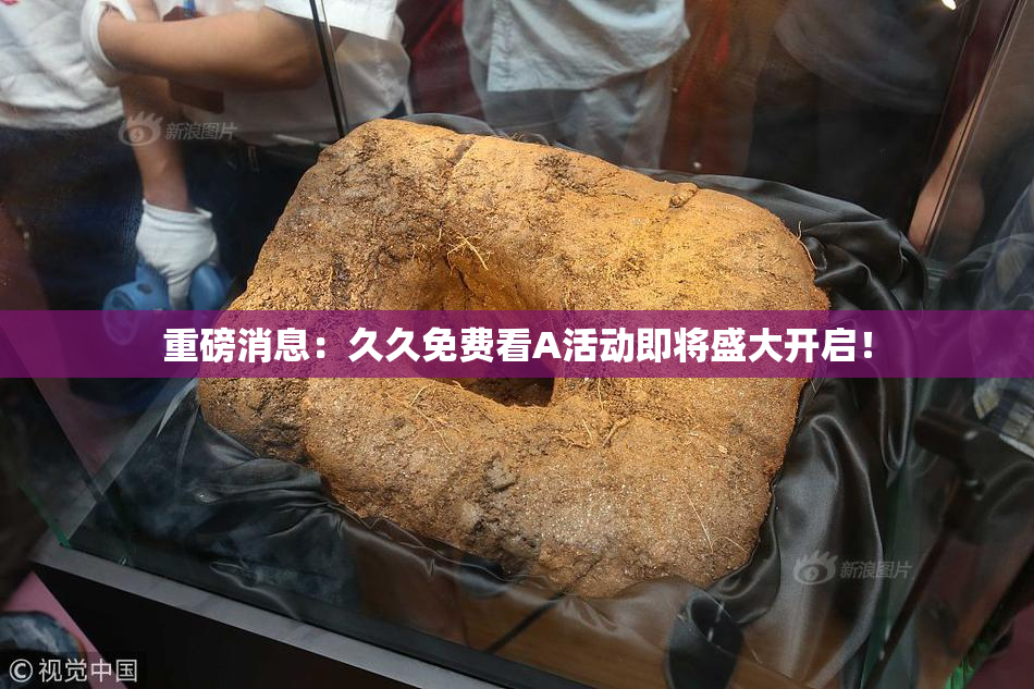 重磅消息：久久免费看A活动即将盛大开启！