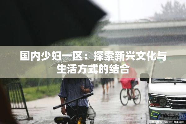 国内少妇一区：探索新兴文化与生活方式的结合