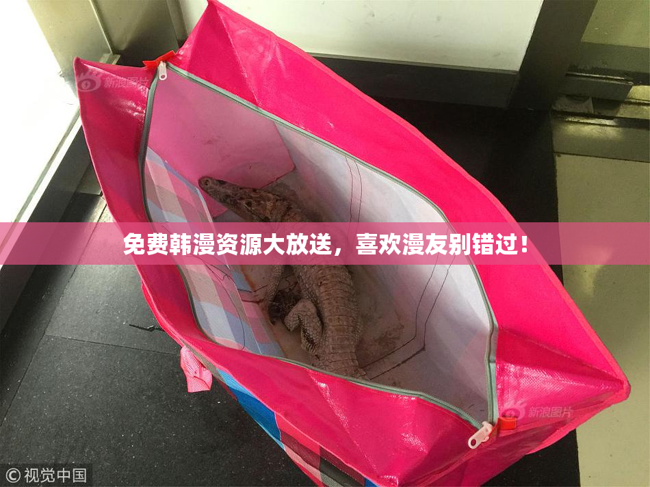 免费韩漫资源大放送，喜欢漫友别错过！