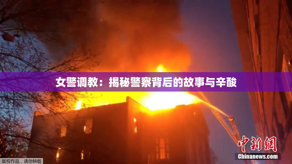 女警调教：揭秘警察背后的故事与辛酸