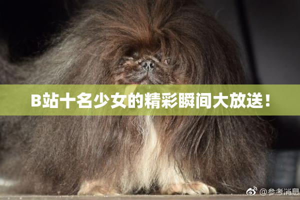 B站十名少女的精彩瞬间大放送！