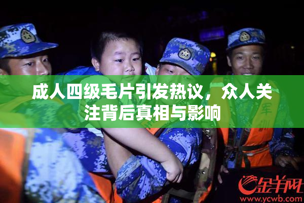 成人四级毛片引发热议，众人关注背后真相与影响