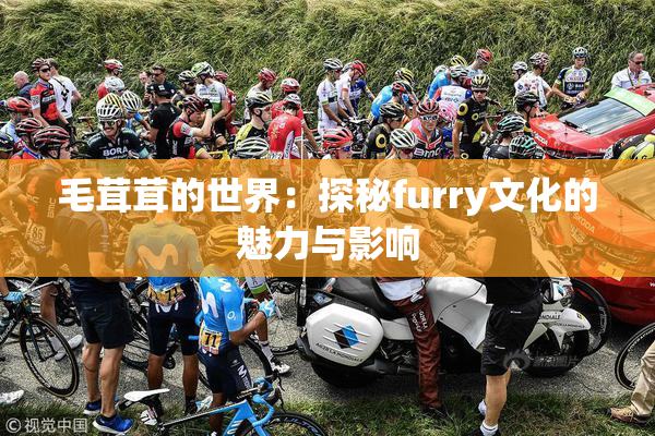 毛茸茸的世界：探秘furry文化的魅力与影响