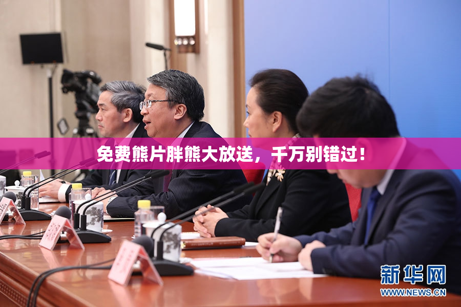 免费熊片胖熊大放送，千万别错过！