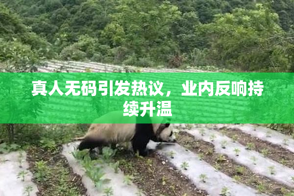 真人无码引发热议，业内反响持续升温