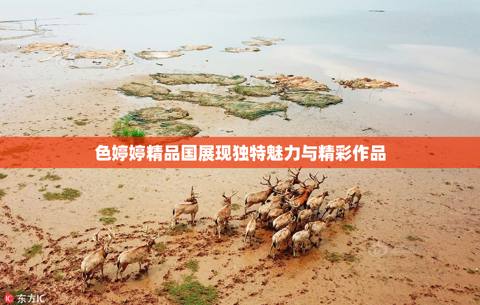 色婷婷精品国展现独特魅力与精彩作品