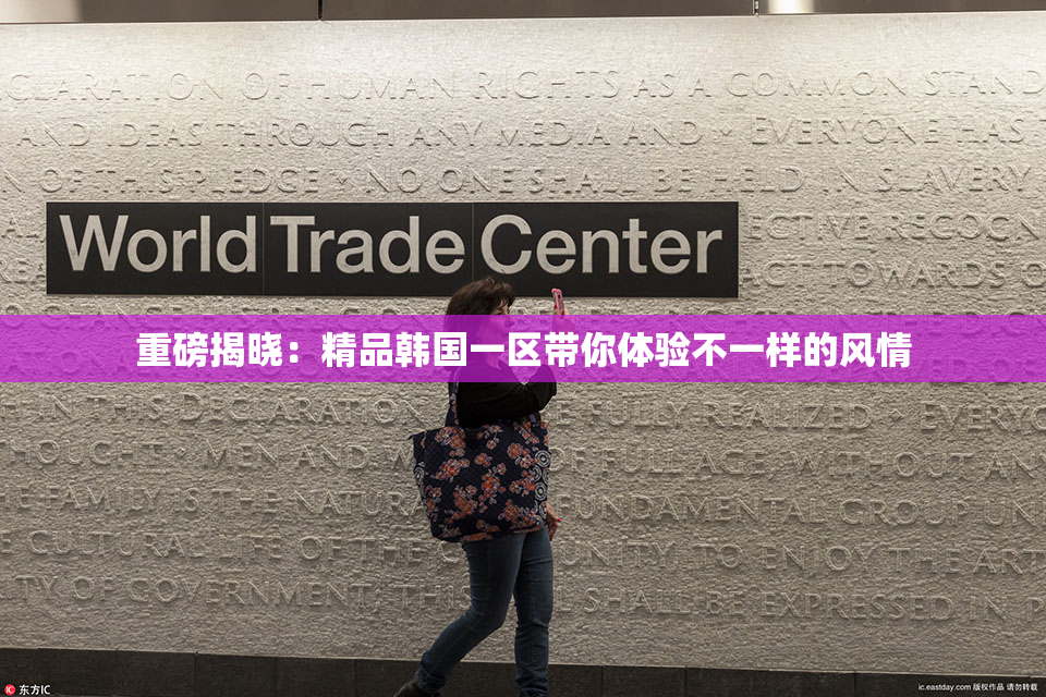 重磅揭晓：精品韩国一区带你体验不一样的风情