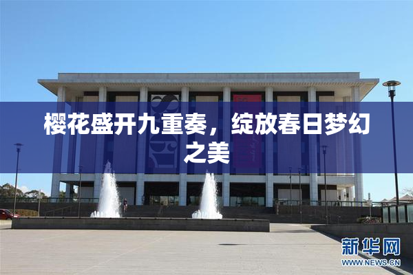 樱花盛开九重奏，绽放春日梦幻之美