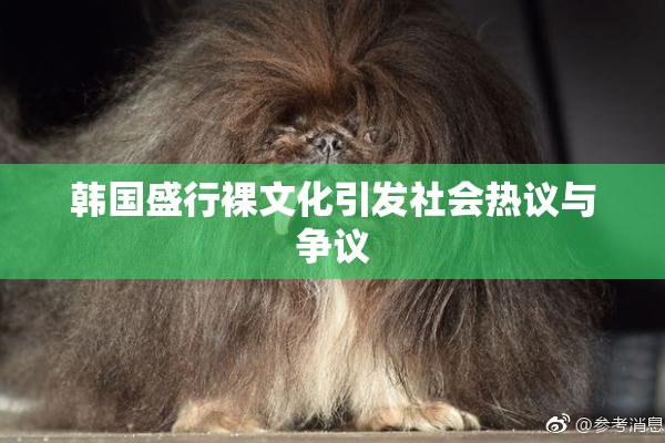 韩国盛行裸文化引发社会热议与争议