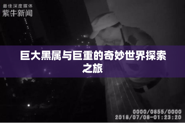 巨大黑属与巨重的奇妙世界探索之旅