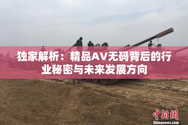 独家解析：精品AV无码背后的行业秘密与未来发展方向