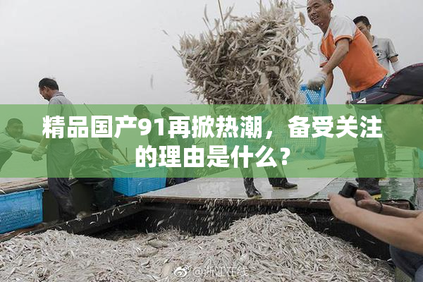 精品国产91再掀热潮，备受关注的理由是什么？