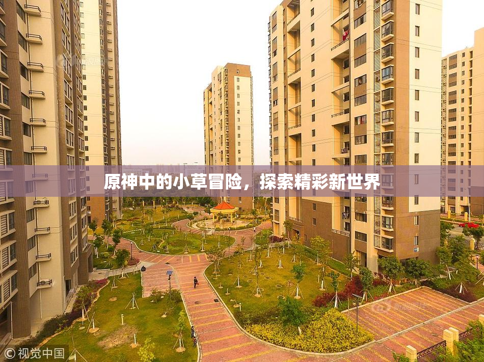 原神中的小草冒险，探索精彩新世界
