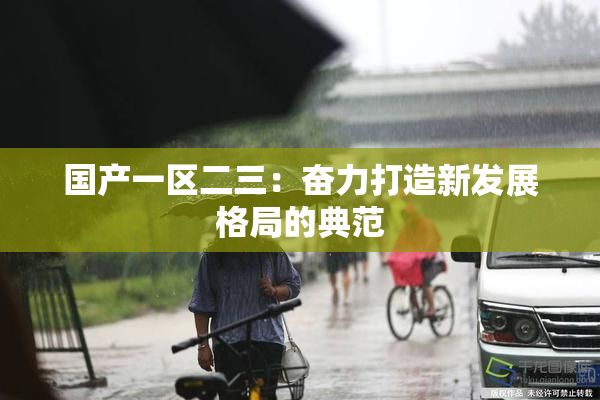 国产一区二三：奋力打造新发展格局的典范