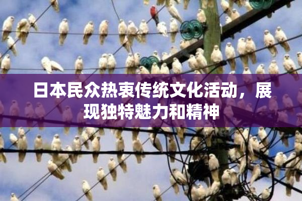 日本民众热衷传统文化活动，展现独特魅力和精神