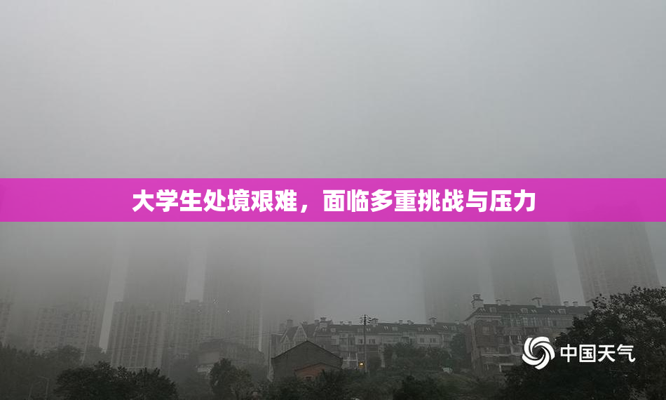 大学生处境艰难，面临多重挑战与压力