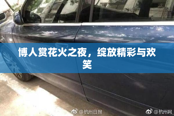 博人赏花火之夜，绽放精彩与欢笑