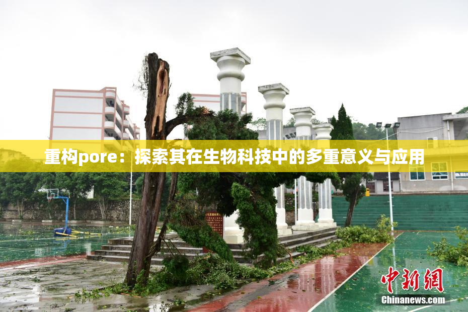 重构pore：探索其在生物科技中的多重意义与应用