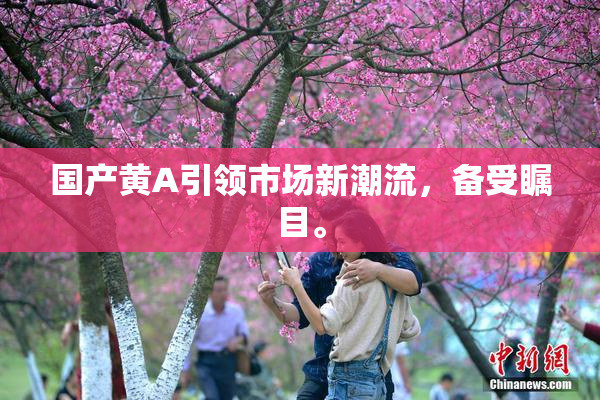 国产黄A引领市场新潮流，备受瞩目。