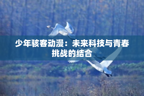 少年骇客动漫：未来科技与青春挑战的结合