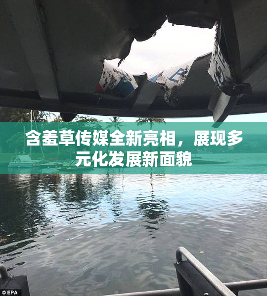 含羞草传媒全新亮相，展现多元化发展新面貌