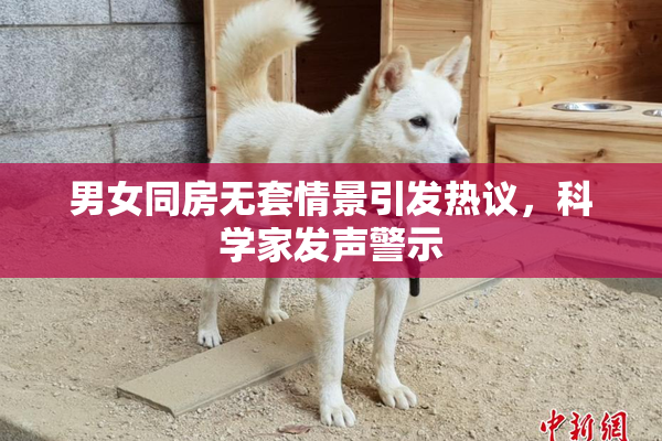 男女同房无套情景引发热议，科学家发声警示
