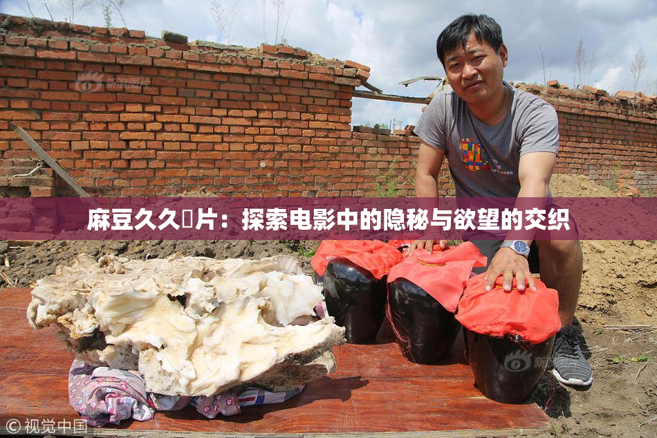 麻豆久久婬片：探索电影中的隐秘与欲望的交织