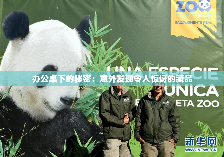 办公桌下的秘密：意外发现令人惊讶的藏品