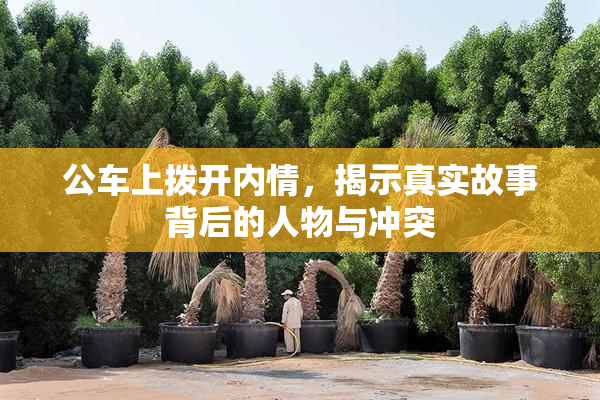 公车上拨开内情，揭示真实故事背后的人物与冲突