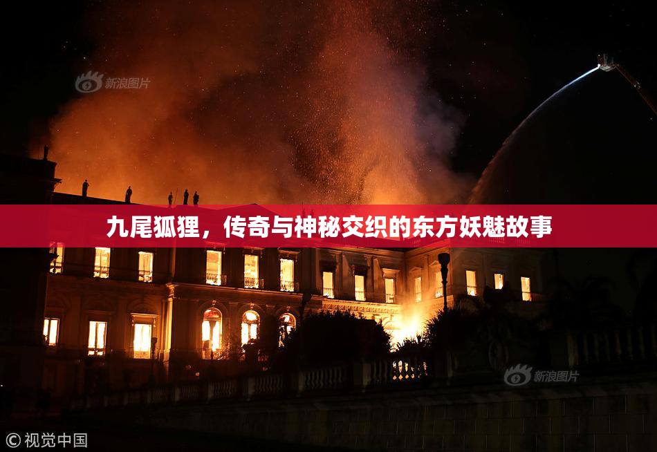 九尾狐狸，传奇与神秘交织的东方妖魅故事
