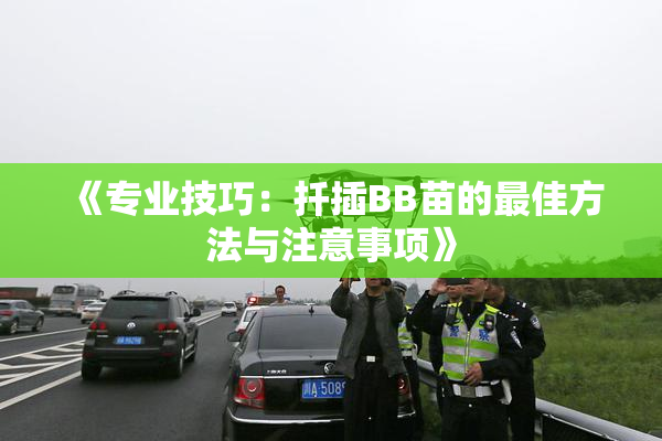 《专业技巧：扦插BB苗的最佳方法与注意事项》