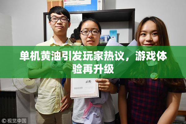 单机黄油引发玩家热议，游戏体验再升级