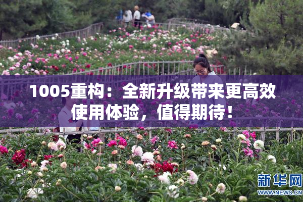 1005重构：全新升级带来更高效使用体验，值得期待！