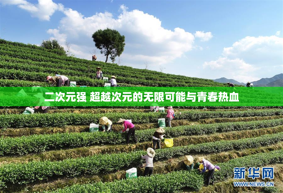 二次元强 超越次元的无限可能与青春热血
