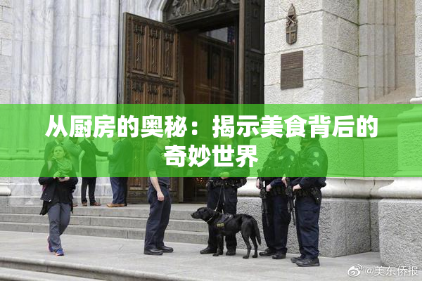 从厨房的奥秘：揭示美食背后的奇妙世界