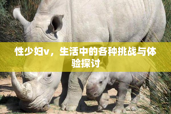 性少妇v，生活中的各种挑战与体验探讨