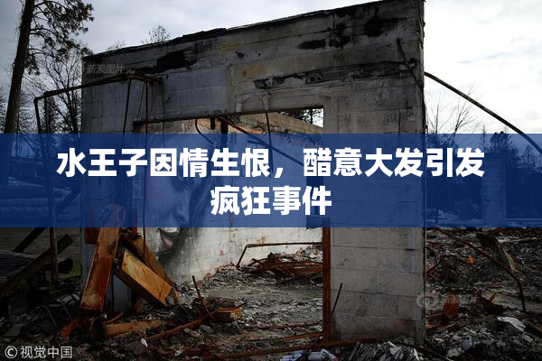 水王子因情生恨，醋意大发引发疯狂事件