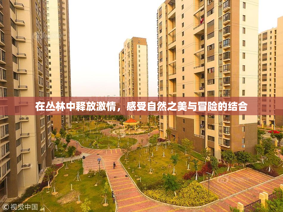 在丛林中释放激情，感受自然之美与冒险的结合