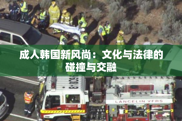成人韩国新风尚：文化与法律的碰撞与交融