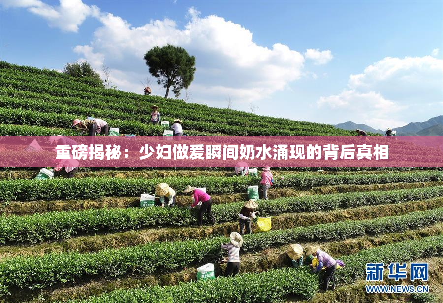 重磅揭秘：少妇做爰瞬间奶水涌现的背后真相