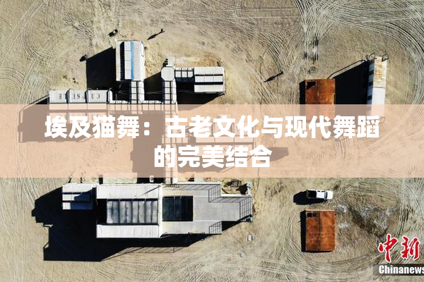 埃及猫舞：古老文化与现代舞蹈的完美结合