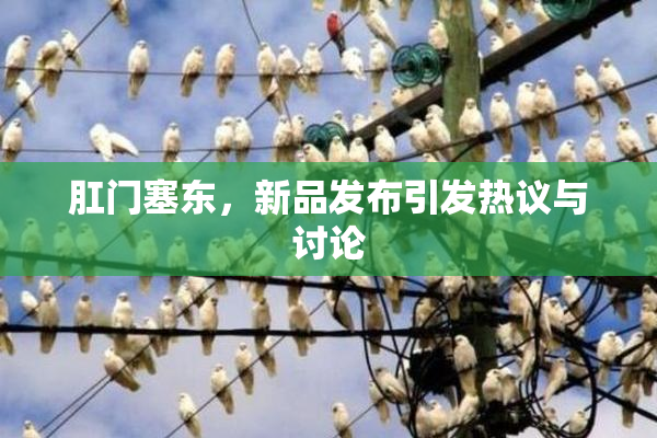 肛门塞东，新品发布引发热议与讨论