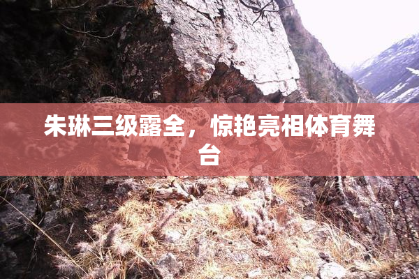 朱琳三级露全，惊艳亮相体育舞台