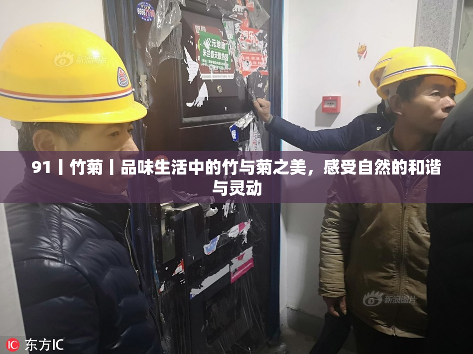 91丨竹菊丨品味生活中的竹与菊之美，感受自然的和谐与灵动