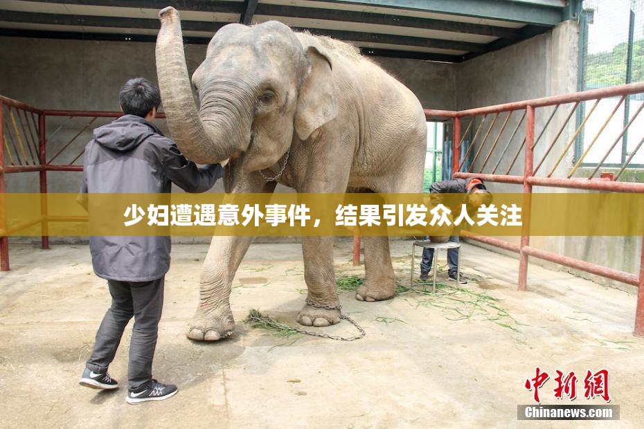 少妇遭遇意外事件，结果引发众人关注