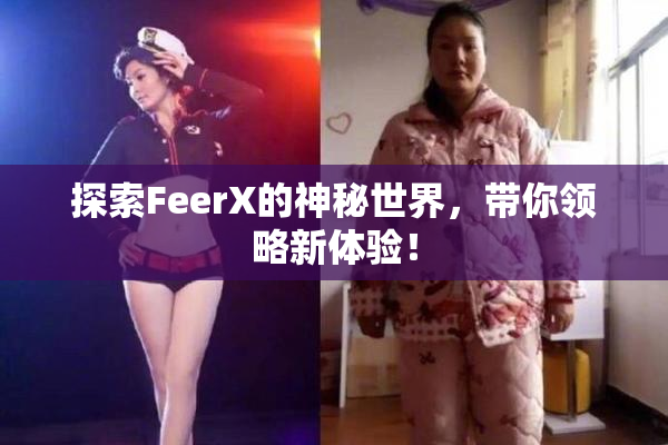 探索FeerX的神秘世界，带你领略新体验！